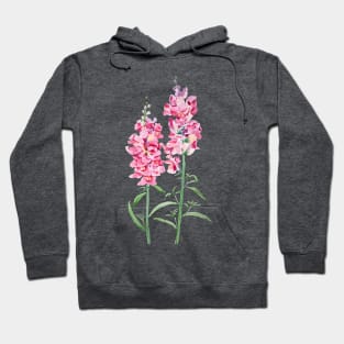 2 pink snapdragon flowers  watercolor painting Hoodie